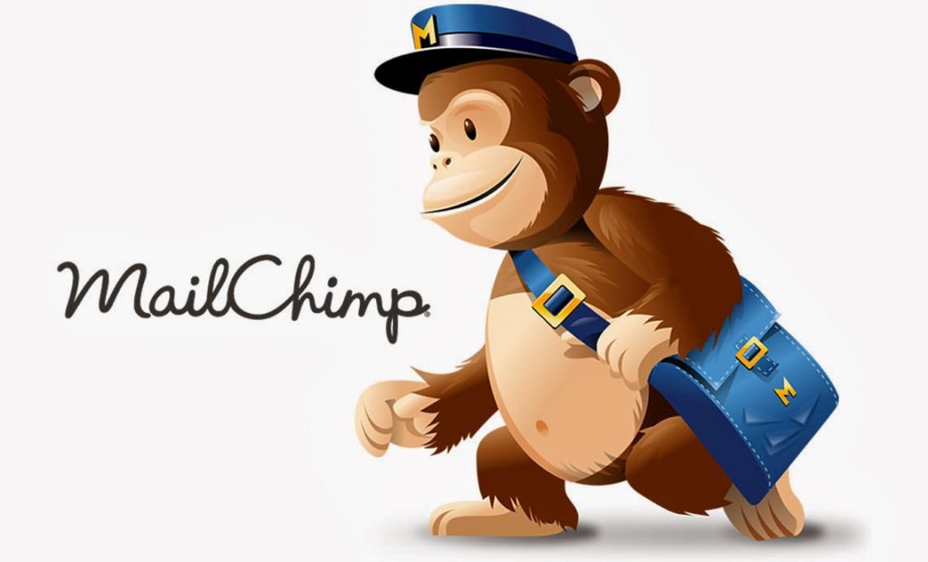 Not only does MailChimp have an adorable mascot, it is an absolute lifesaver when it comes to efficiently managing your email list.